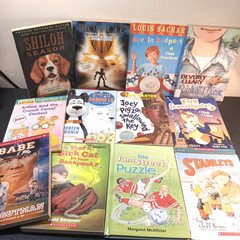 Lot of 12 Chapter Books for Tween BOYS