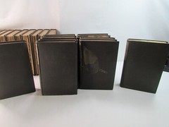Honore de Balzac 20 Volumes 1899 Antique Distressed Décor Book Set