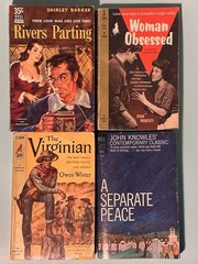 [LOT of 30] Vintage Paperbacks Great Authors & Titles Various Mixed Genres Clean