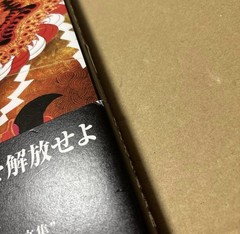 Book Kaneko Tomiyuki Art and Writings Collection – Phantom Praise Japanese Book