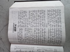 New World Translation Holy Scriptures Chinese Simplified (PINYIN) Watch Tower