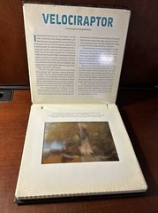 Photicular Ser.: Dinosaur : A Photicular Book by Kathy Wollard and Dan Kainen…