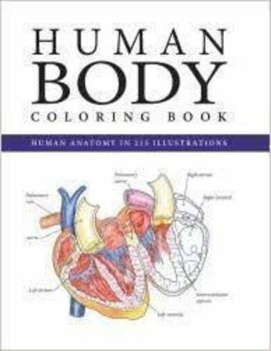 Human Body Coloring Book – Paperback – GOOD