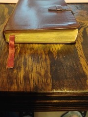 Slimline Reference Bible NLT New Living Translation by Tyndale Burgundy leather
