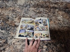 Lustiges Taschenbuch German edition copy 4 Donald Duck, Kids, Comics