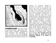 1944 Victory Garden Insect Guide