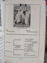 All About Borzoi Club of Northern California HC 1968 VGC Illustrated