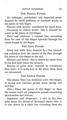 1895 Indian palmistry 61 Pages