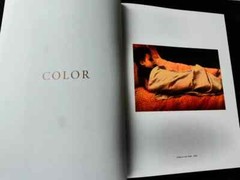 NEW RARE 1st ED 88/100 SLIPCASE CLAMSHELL BOX SIGNED Sheila Metzner Color BOOK