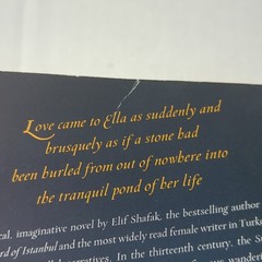 The Forty Rules of Love: A Novel of Rumi by Elif Shafak – PB – GOOD