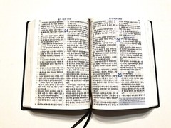Korean Bible – Revised Korean Standard Version – Brown Metallic Etched Vinyl