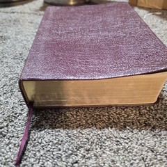 QUEST STUDY BIBLE Zondervan Genuine Burgundy Leather 1994 Thumb Index