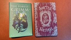 Fairyloot / Illumicrate Book Box Special Edition Books