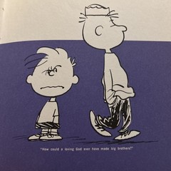 Two-By-Fours (Warner Press 1965) Charles Schultz, HC, good, name inside, 1st ed