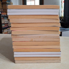 Goosebumps Books Lot of 17 R.L. Stine Mostly Vintage 1990s Paperbacks More Tales