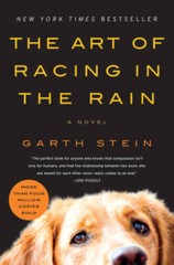 The Art of Racing in the Rain: A Novel – Paperback By Stein, Garth – ACCEPTABLE