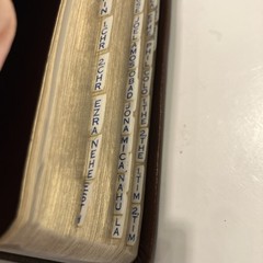 VTG NIV Study Bible Red Letter Zondervan 1985 Bonded Leather Meticulously Tabbed