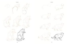 Draw 200 Animals: The Step-by-Step Way to Draw Horses, Cats, Dogs, Birds, Fish,
