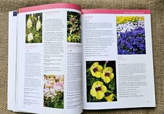 New Southern Gardeners Handbook Your Complete Guide By Cool Springs Press…