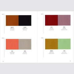 A Dictionary of Color Combinations 1 Art font Japan Reference Graphic Design NEW