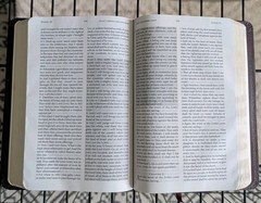 The Jack Van Impe Prophecy Bible-KJV Red Letter Special Limited Edition