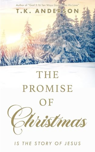 The Promise of Christmas – VERY GOOD