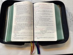 1975 Liturgy of the Hours Vol 4 Ordinary Time Weeks 18-34 In Leather Zip Case