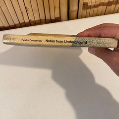 Notes from Underground Fyodor Dostoevsky Crowell Critical Library PB 1969 Durgy