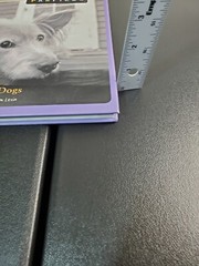 Pawfiles: Portraits of Dogs: A Bark and Smile Book by Levin, Kim Hardback Book