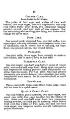 1893 The Worlds Fair Recipe Cook Book 119 Pages