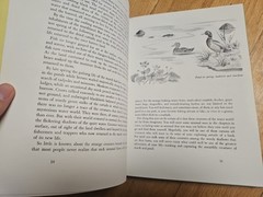 Tracking the Unearthly Creatures of Marsh and Pond – Howard G Smith