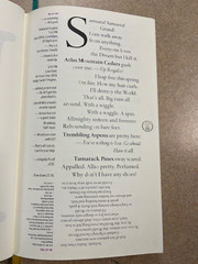 Only Revolutions by Mark Z. Danielewski Pre-Publication w/ Different Boards LN