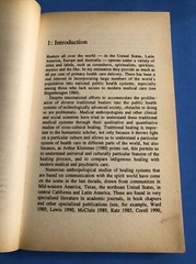 Amazon Healer : The Life and Times of an Urban Shaman / 1992