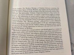 Divine Sophia: The Wisdom Writings of Vladimir Solovyov SC 2009 EUC