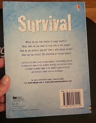 Lot Of 2 Usborne Henry Brook Books Spying & Survival 80 Pages Each 8 1/4″ X 6″