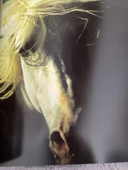 Vavra’s Vision – Equine Images – 2007 Hardcover – SIGNED/Inscribed – HC DJ