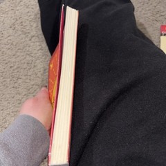 The Alchemist by Paulo Coelho (2014, Paperback)