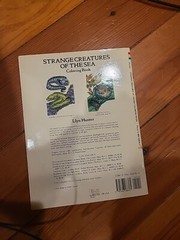 Strange Creatures of the Sea Coloring Book by Llyn Hunter (1991, Trade…