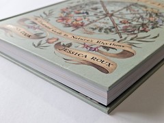 The Wheel of the Year An Illustrated Guide to Nature’s Rhythms Hardcover VGC
