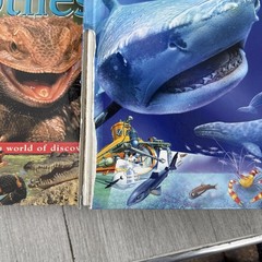 Lot 7 Kids Books DK Reptiles Incredibles Dinosaurs Creatures Science Activity