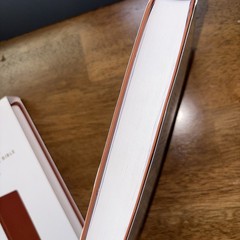 ESV Large Print Value Thinline Bible (Trutone, Camel) by Esv Bibles: New