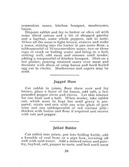 1919 The Rabbit Cook Book Vintage Recipes (61 page)