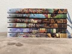 Lot of 20 ANNIE’S FICTION Various Series Cozy Mystery Hardcover Books