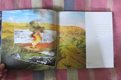 Christy Rupp~ Art Activism Ecology : „Noisy Autumn” Hardcover~ Like New