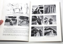 SIGNED + Illustrated Jumping Cholla Keith Christie 1981 1st Ed Bronze Sculpture