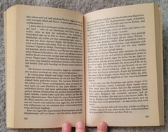 Der Flug der Schwäne – Elizabeth Webster – Deutsche Literatur – German Book