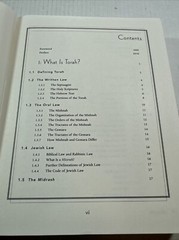 EXPLORING JEWISH TRADITION: A TRANSLITERATED GUIDE TO By Abraham Witty NEW