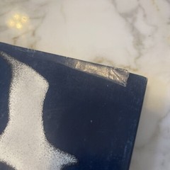 1970 VTG The Macmillan Company, by Richard Bach, Jonathan Livingston Seagull