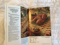 Pillsbury Classics Cookbook ALL American Picnics & Barbecues #172 1995 94 Pages