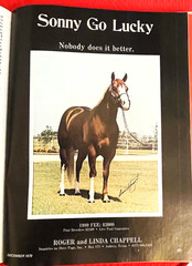 1979 Quarter Horse Journal, Book, STALLION EDITION! – KIDNAP BAR – ZAN PARR BAR